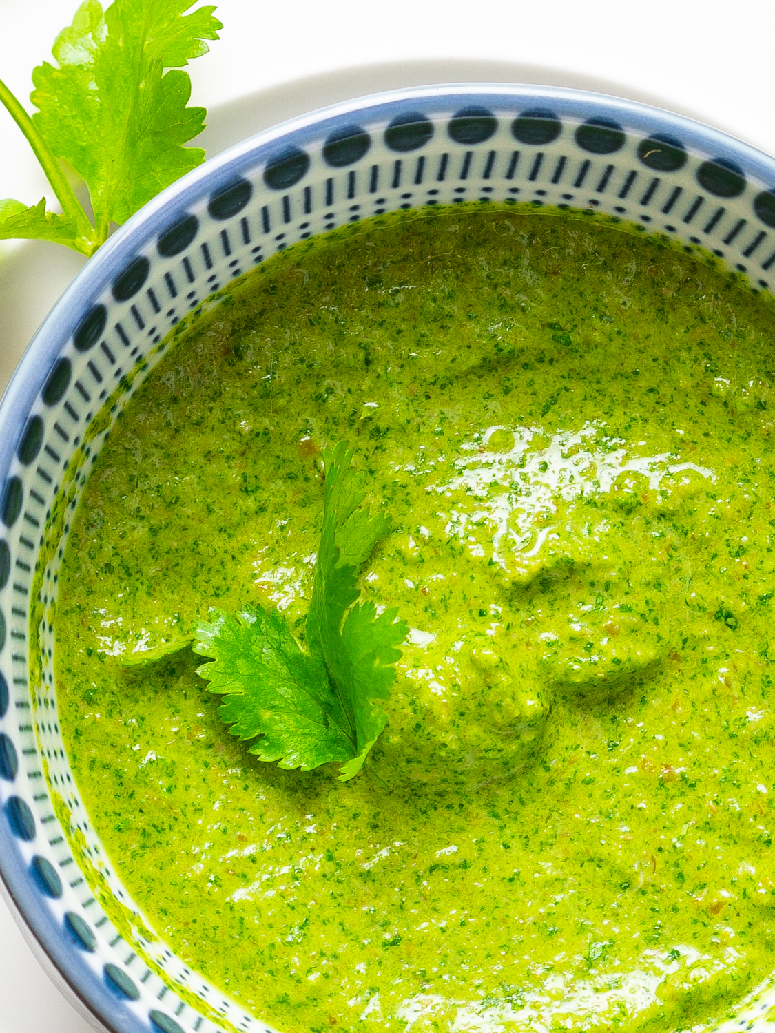 Cilantro Garlic Sauce Garlic Cilantro Sauce