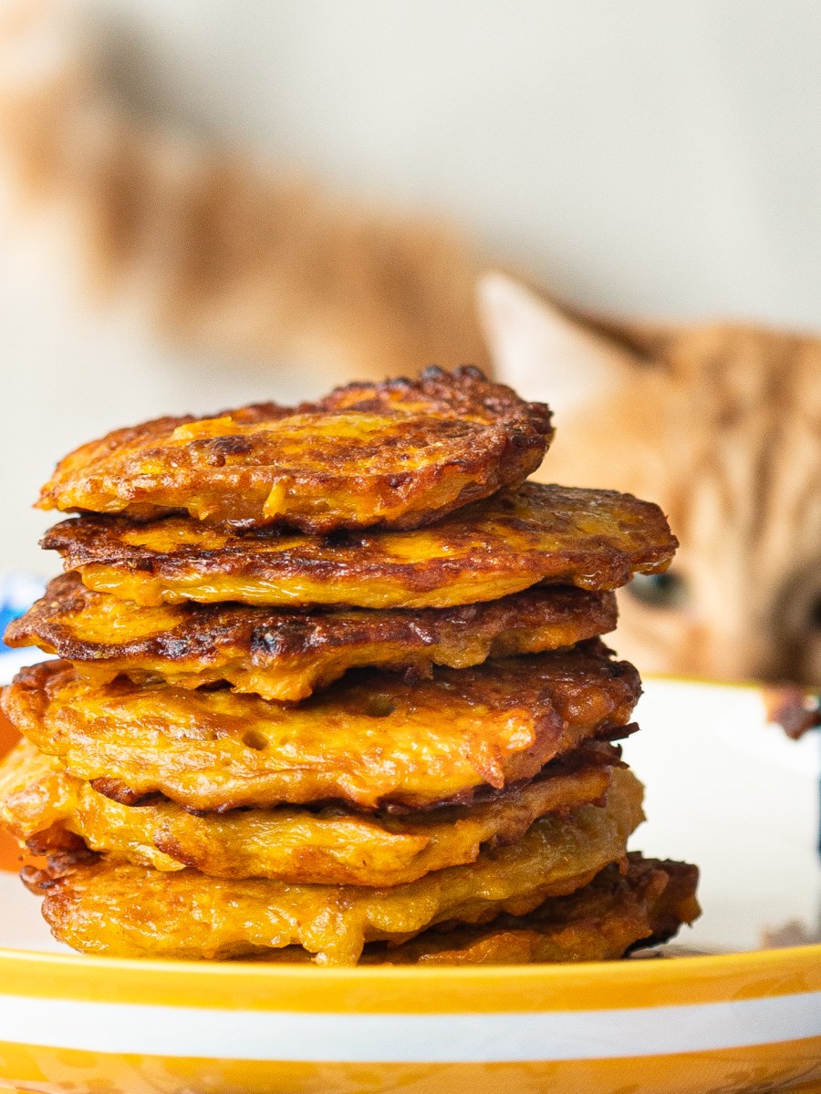 PUMPKIN FRITTERS WITH RAISING AND&nbsp;CINNAMON