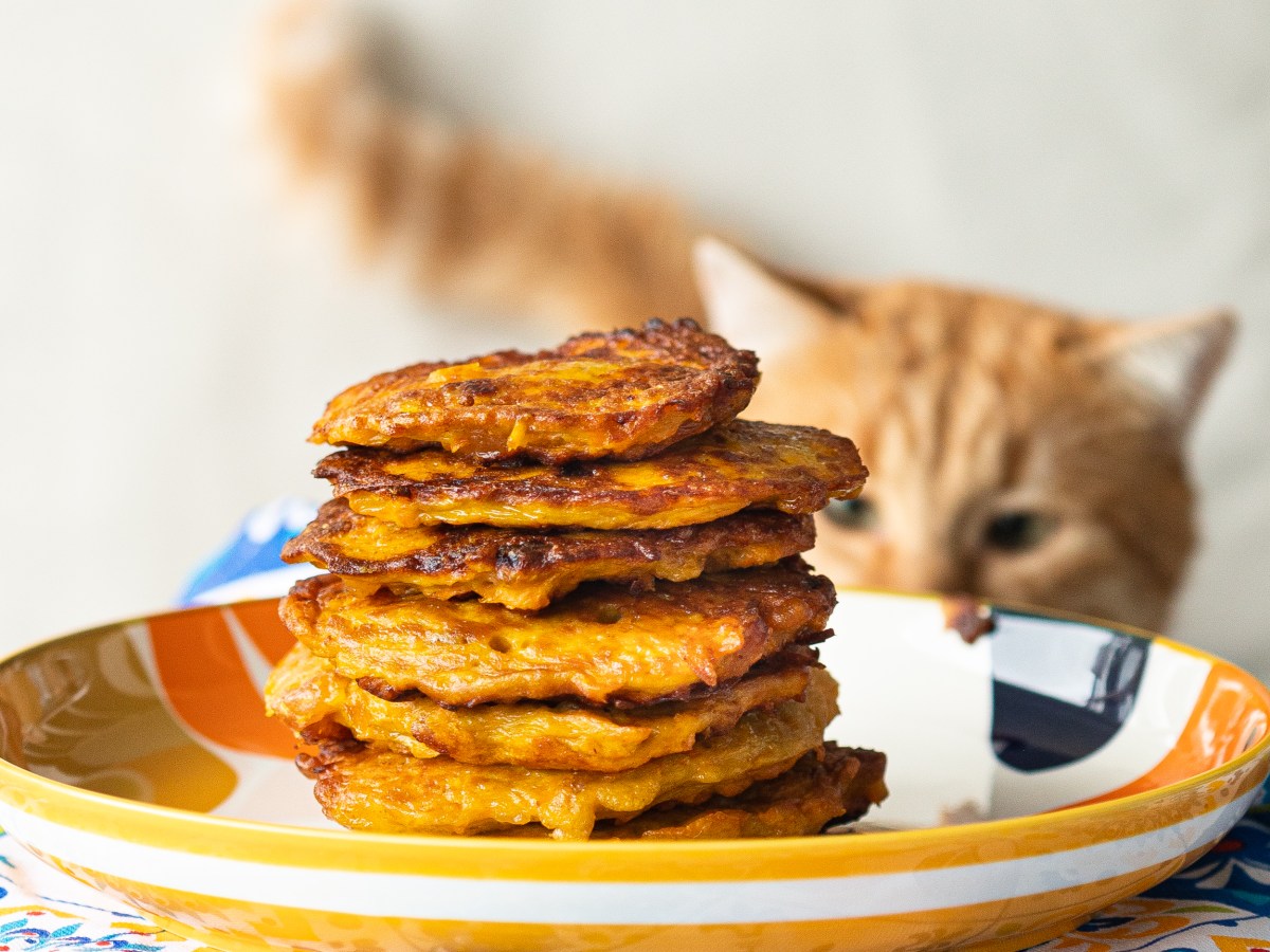 PUMPKIN FRITTERS WITH RAISING AND&nbsp;CINNAMON